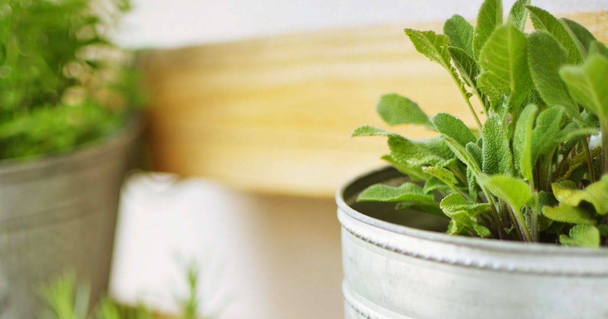 sinngestoeber: Paletten-DIY Teil II: Kräutergarten