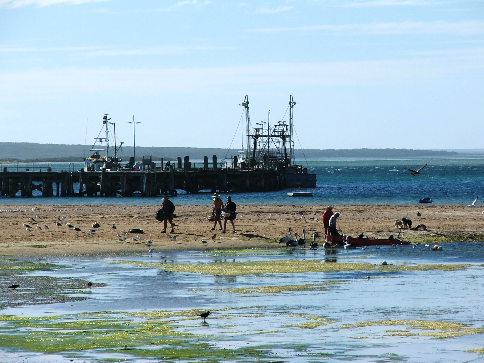 Postie and Sue Venus Bay