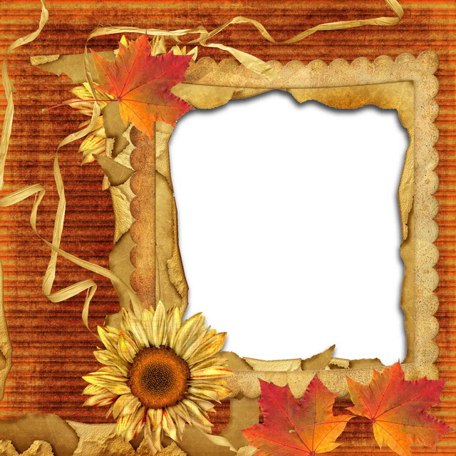 Beautiful Frames Pictures Cool Frames Ready Made Photo frame Mix