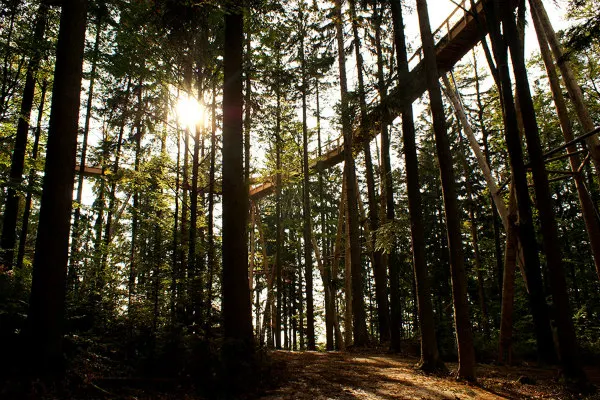 Bavarian Forest National Park