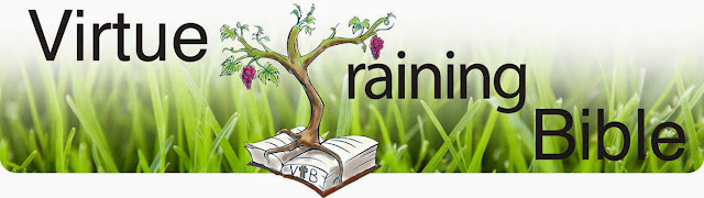 Virtue Training Bible