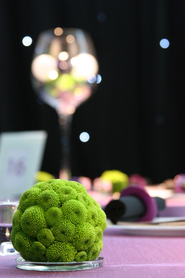 Flowers Glasgow Science Centre