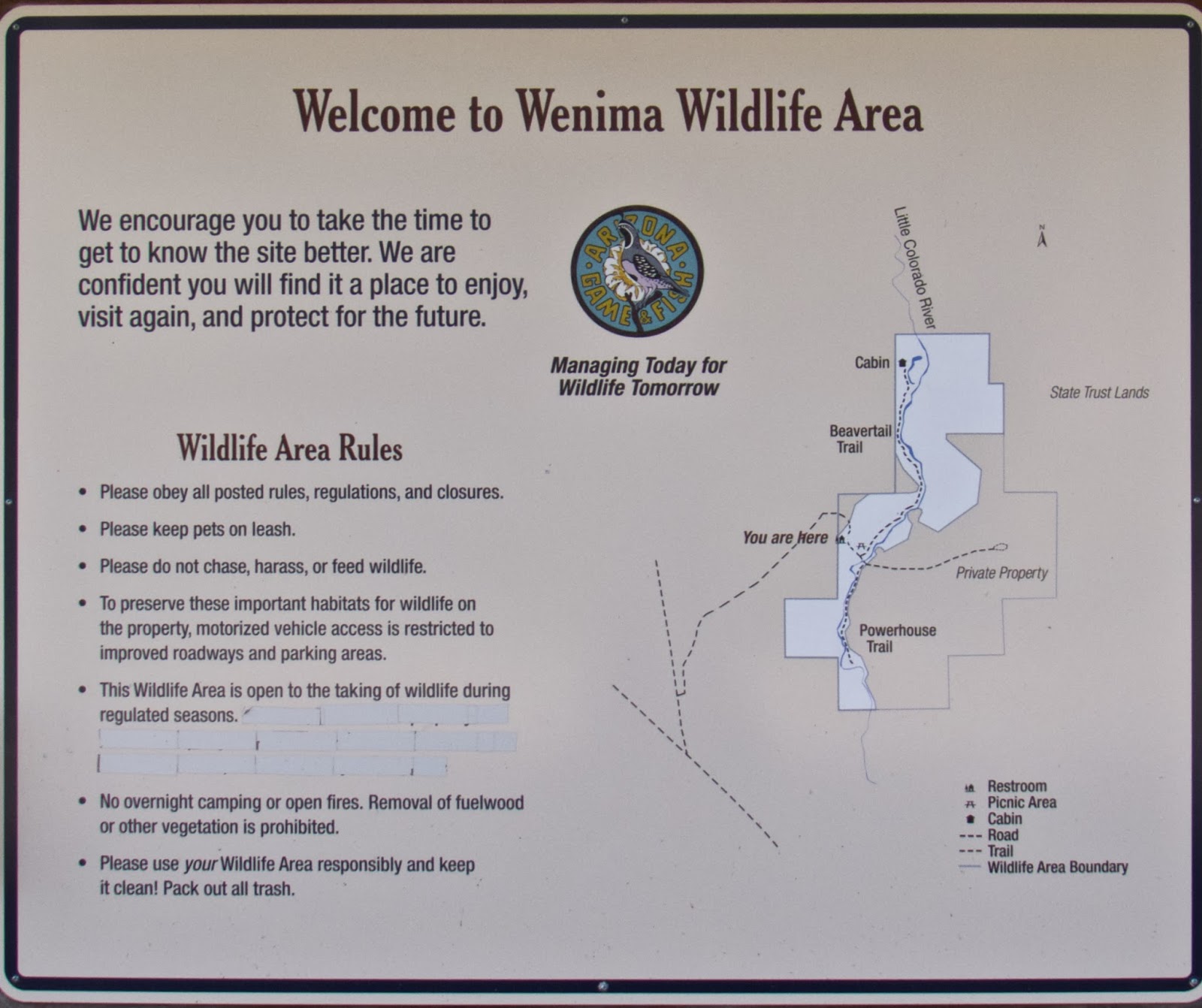 at my usual birding rate of one mile per hour we managed to spend about four hours at this site first we walked the trail into the meadow and back total at my usual birding rate of one mile per hour we managed to spend about four hours at this site first we walked the trail into the meadow and back total