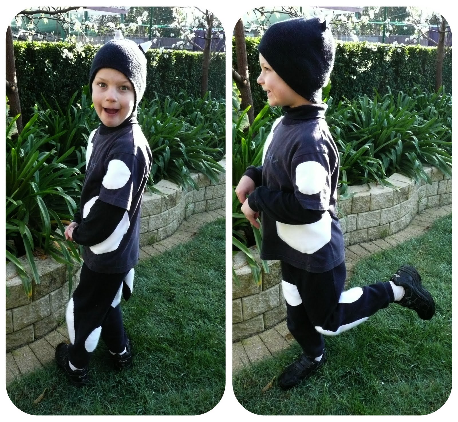 ZippyZippy Book Week Dress Up Harry The Dirty Dog