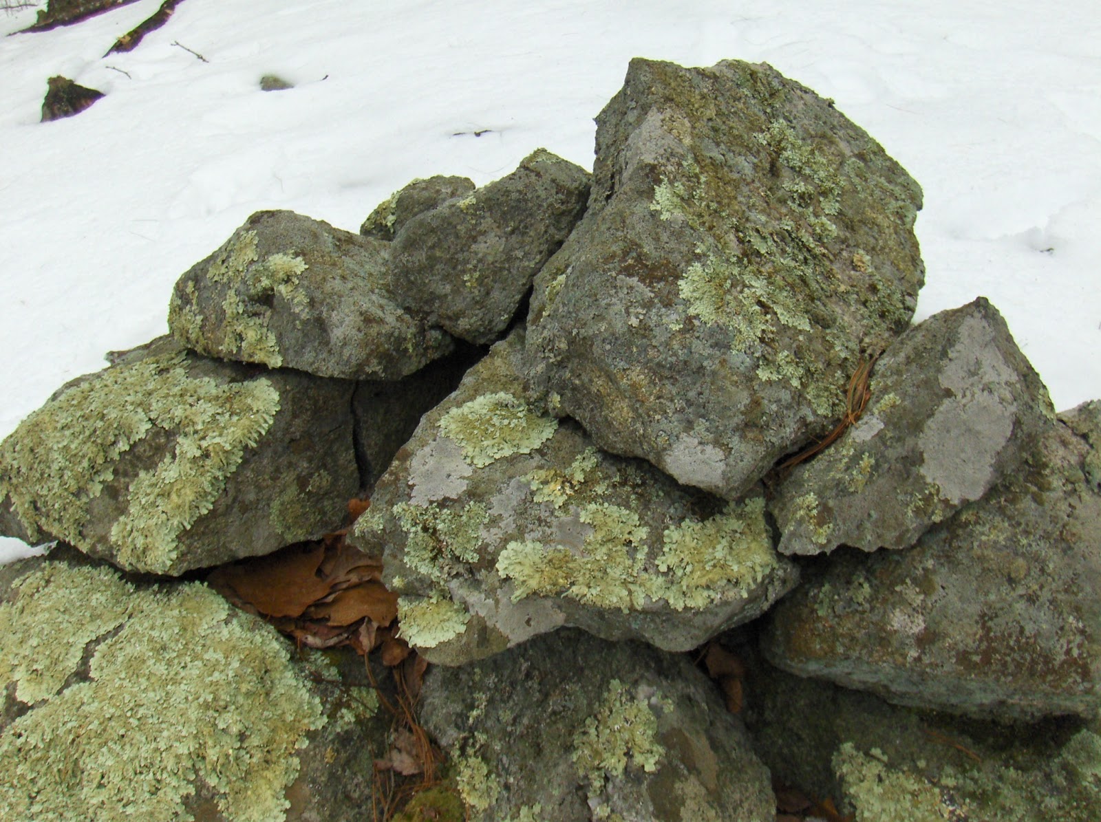 Rock Piles The Island in Bowers Brook with Rock Piles Barton 3/Bare