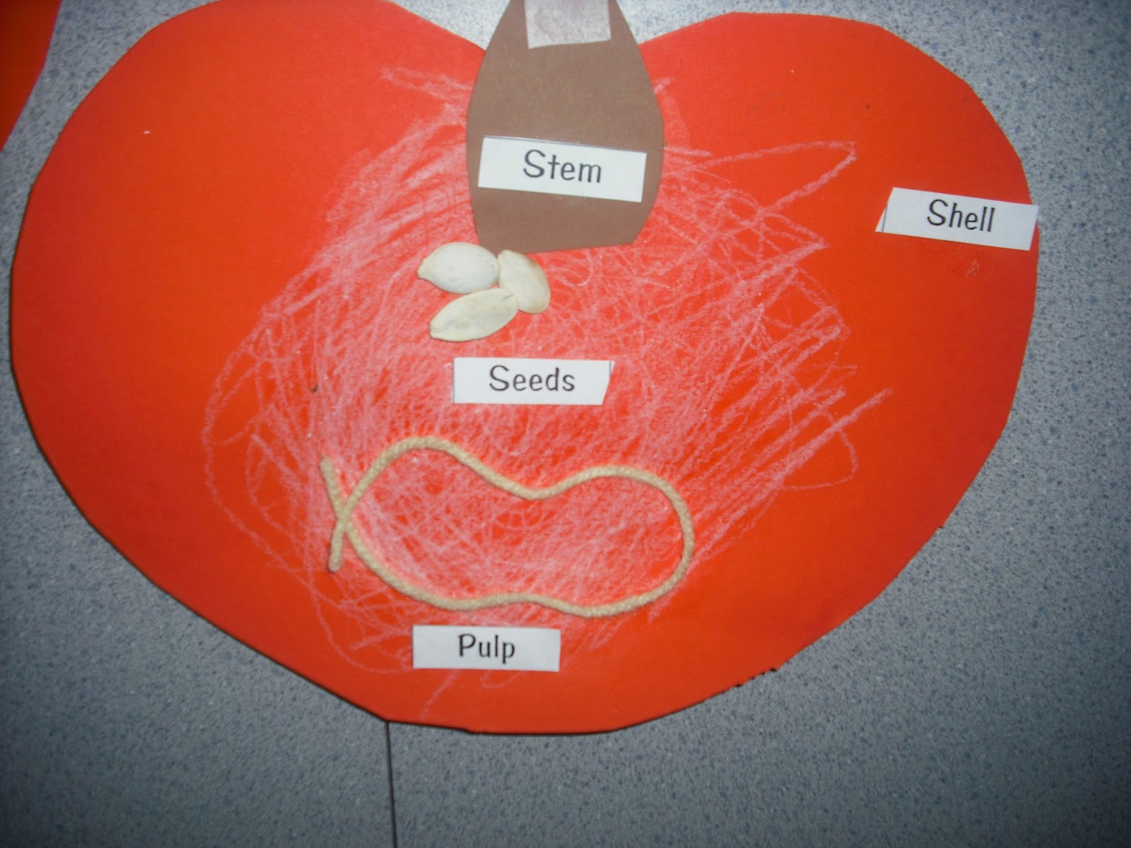 sprinkles to kindergarten playful little pumpkins apples and pumpkins venn diagram