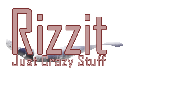 Razzit - Just Crazy Stuff