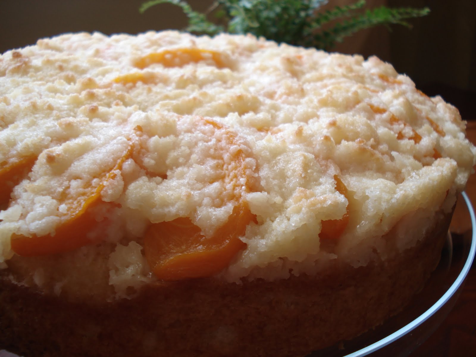 Mennonite Girls Can Cook Peach Kuchen