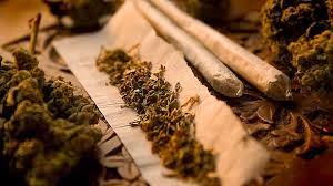 Causas del consumo de Drogas. Marihuana. como dejar la marihuana, efectos del consumo prolongado de marihuana Causas del consumo de Drogas. Marihuana. como dejar la marihuana, efectos del consumo prolongado de marihuana