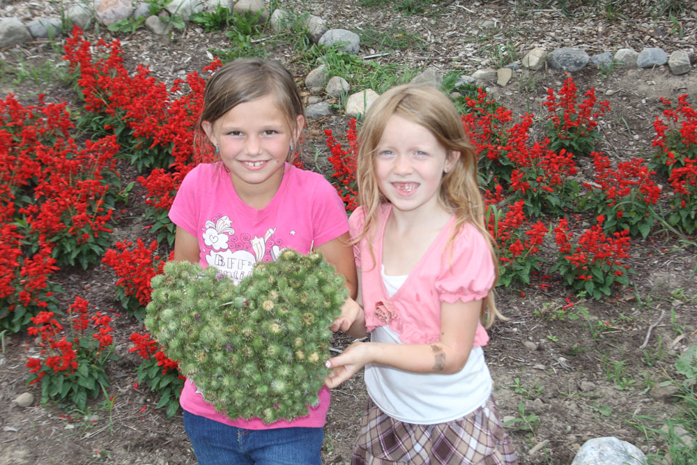 Trail of Hope Why gardens are important