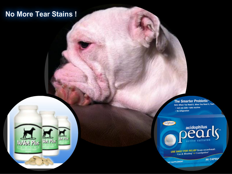 no more tear stains for dogs