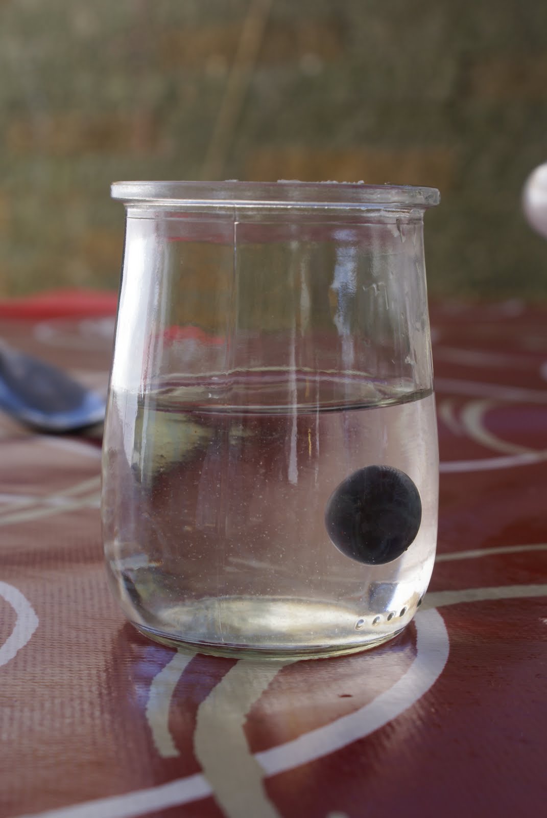 Restless Minds Floating grape density matters