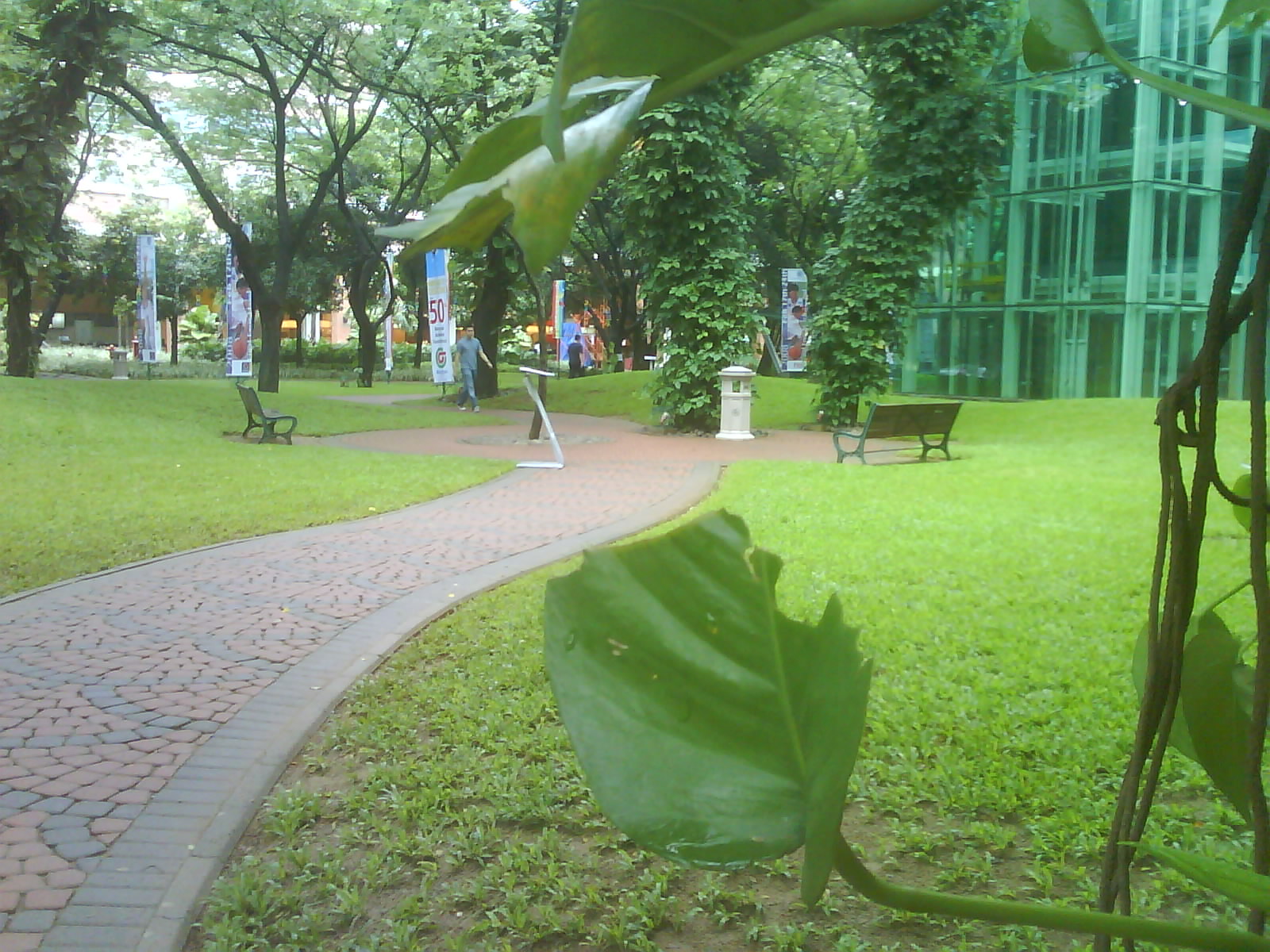 ENVIRONMENT &amp; ARCHITECTURE: Apa itu LINGKUNGAN?