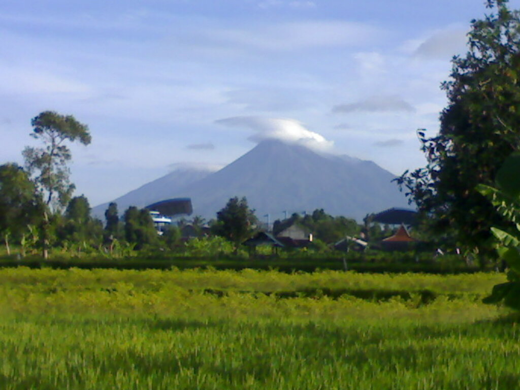 karang taruna dusun jenengan