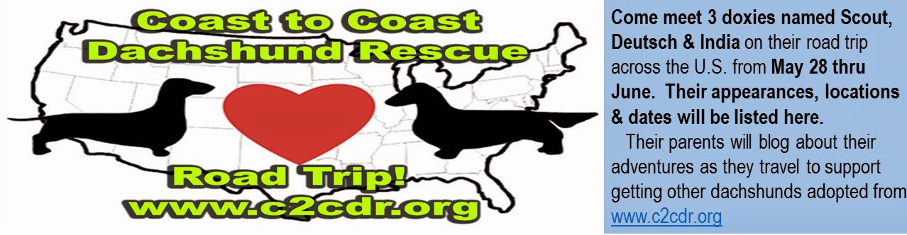 Coast-to-Coast Dachshund Rescue - Road Trip!