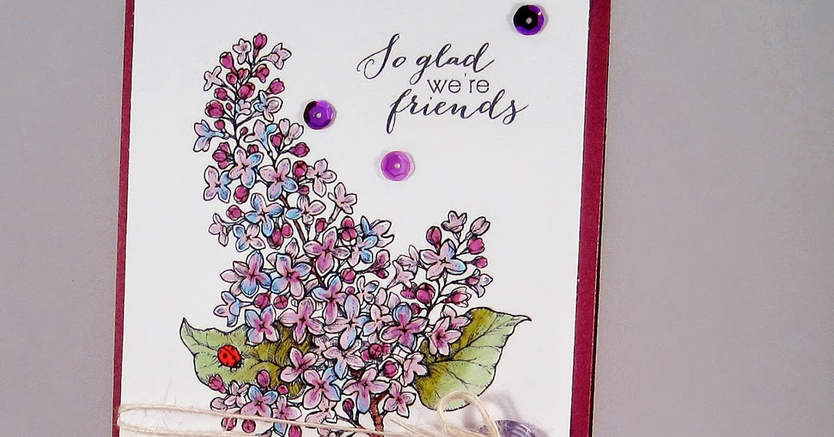 Twinshappy Lilac Gift Set