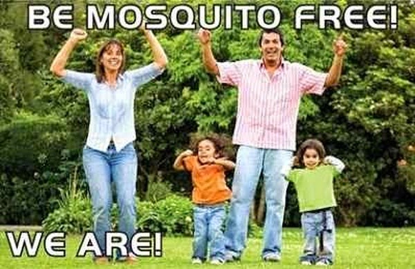 Natural Plants for Mosquito Repellent