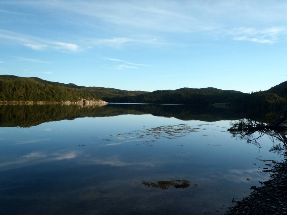 My Newfoundland Kayak Experience Placentia Bay 2015 Is that you Clattice?
