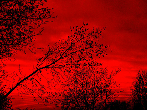 Heaven S A Lie Katana No Saya Ali Project heaven sa lie blogger