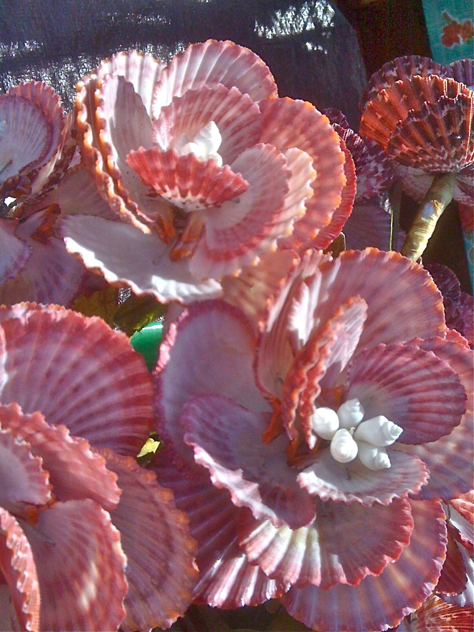 She Sells SeaSHELL FLOWERS by the Seashore