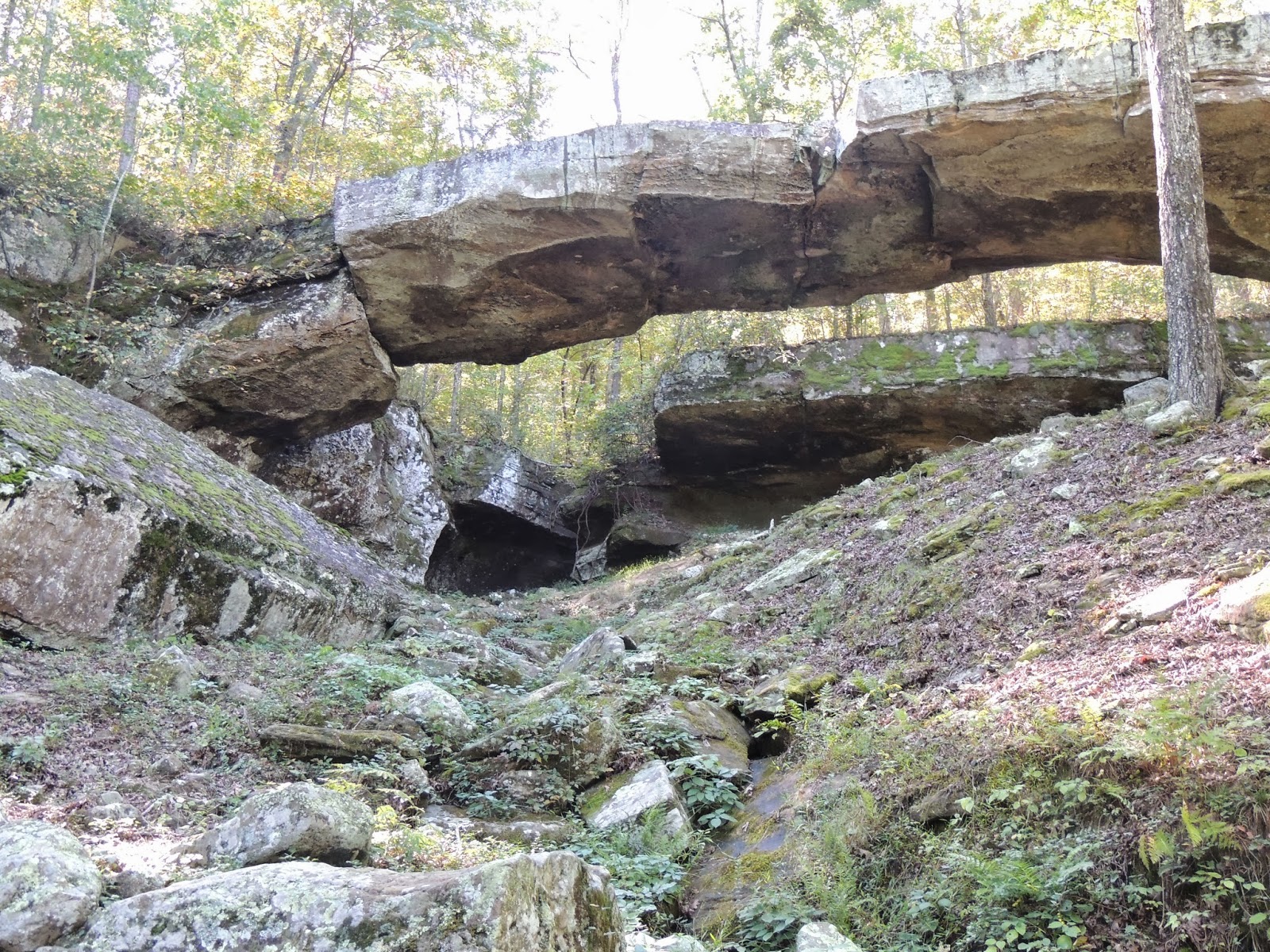 Elaine Littau, Author Natural Bridge Outside of Clinton, Arkansas