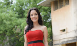 Kristina Akheeva dazzling pics at Gaali Patam-thumbnail
