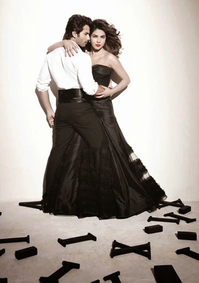 Shahid Kapoor & Priyanka Chopra Couple HD Wallpapers Free Download