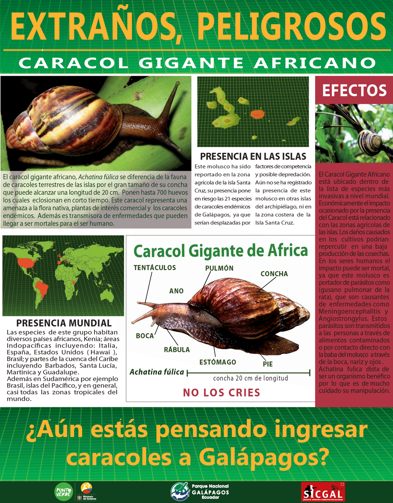 Gran Polo Patriótico: ALERTA'''' INVASIÓN DE CARACOLES ...