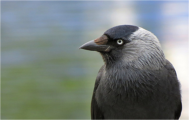 Compact Camera, Best Photo of the Day in Emphoka by Stu Oliver, Canon PowerShot SX40 HS, https://flic.kr/p/o1QPw2 Compact Camera, Best Photo of the Day in Emphoka by Stu Oliver, Canon PowerShot SX40 HS, https://flic.kr/p/o1QPw2