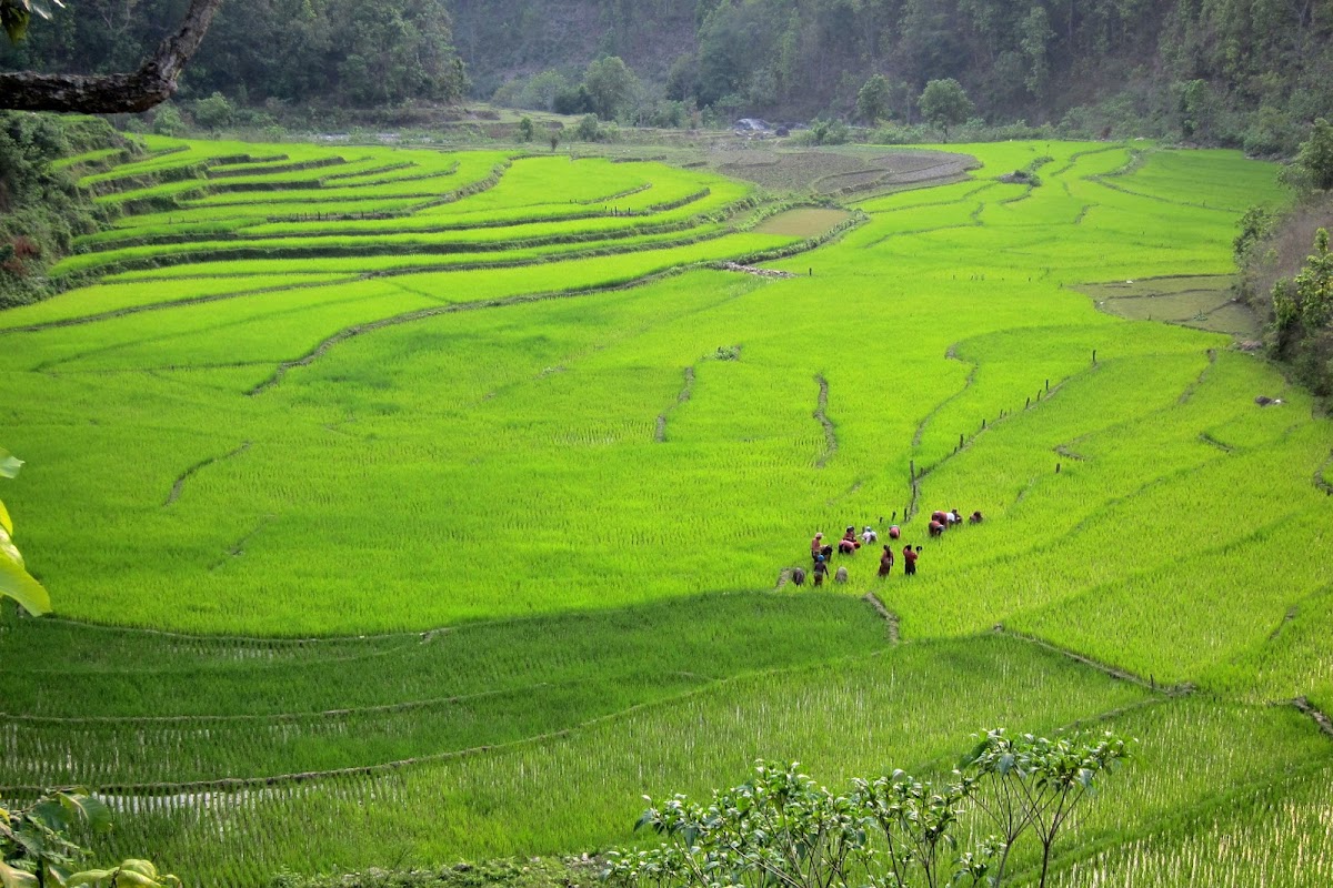 Dave Adair Photography The new Nepal, same as the old Nepal