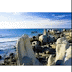 Tour Thực Tập Phan Thiết Năm 2014