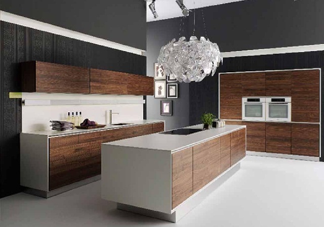 Contemporary Modern Kitchen Cabinet