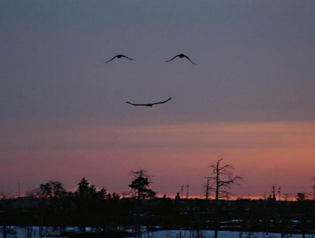 Laugh+your+heart+2012.jpg