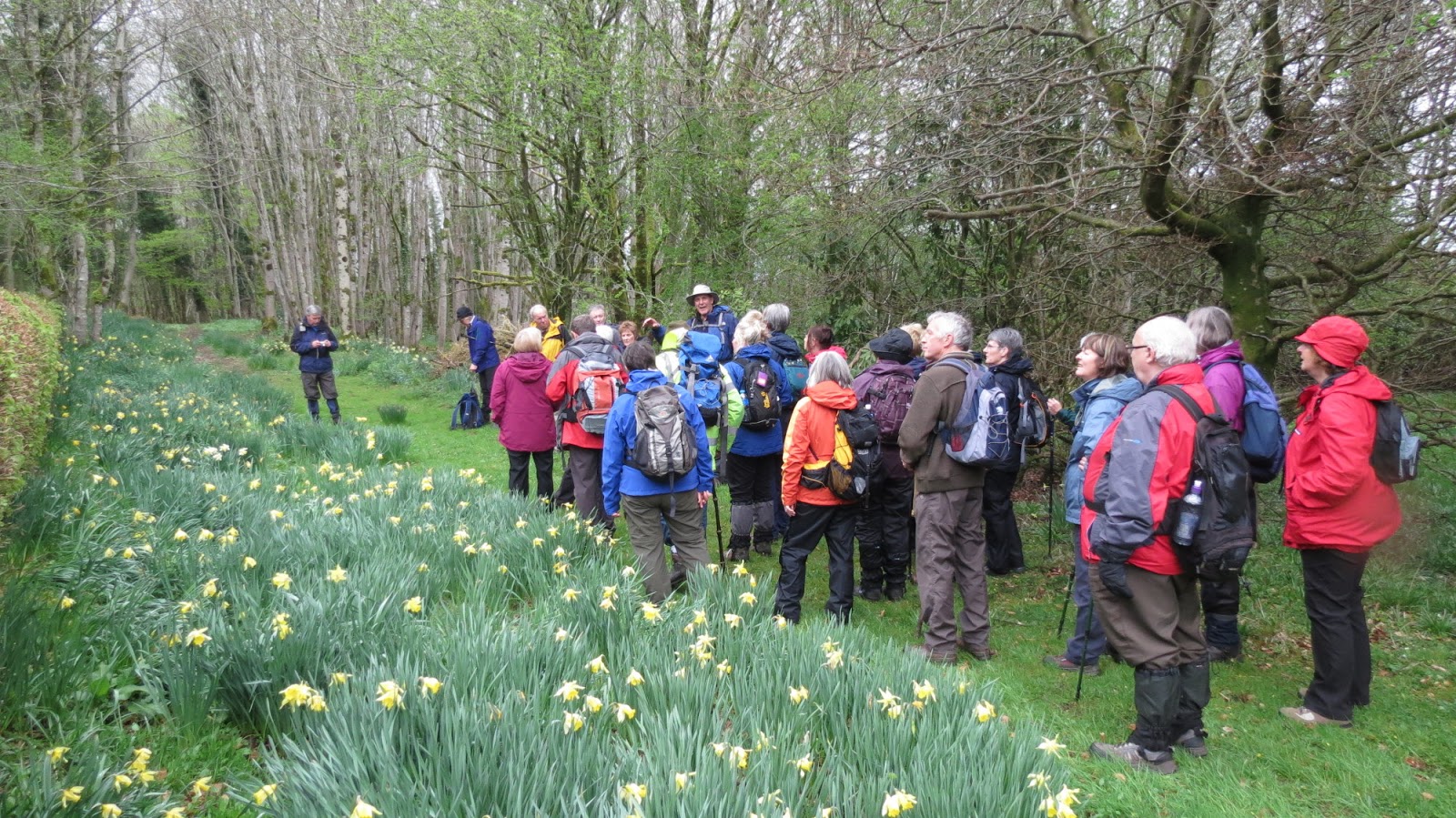 The Glebe Blog Three Walks Newton Stewart Walking Festival 2013