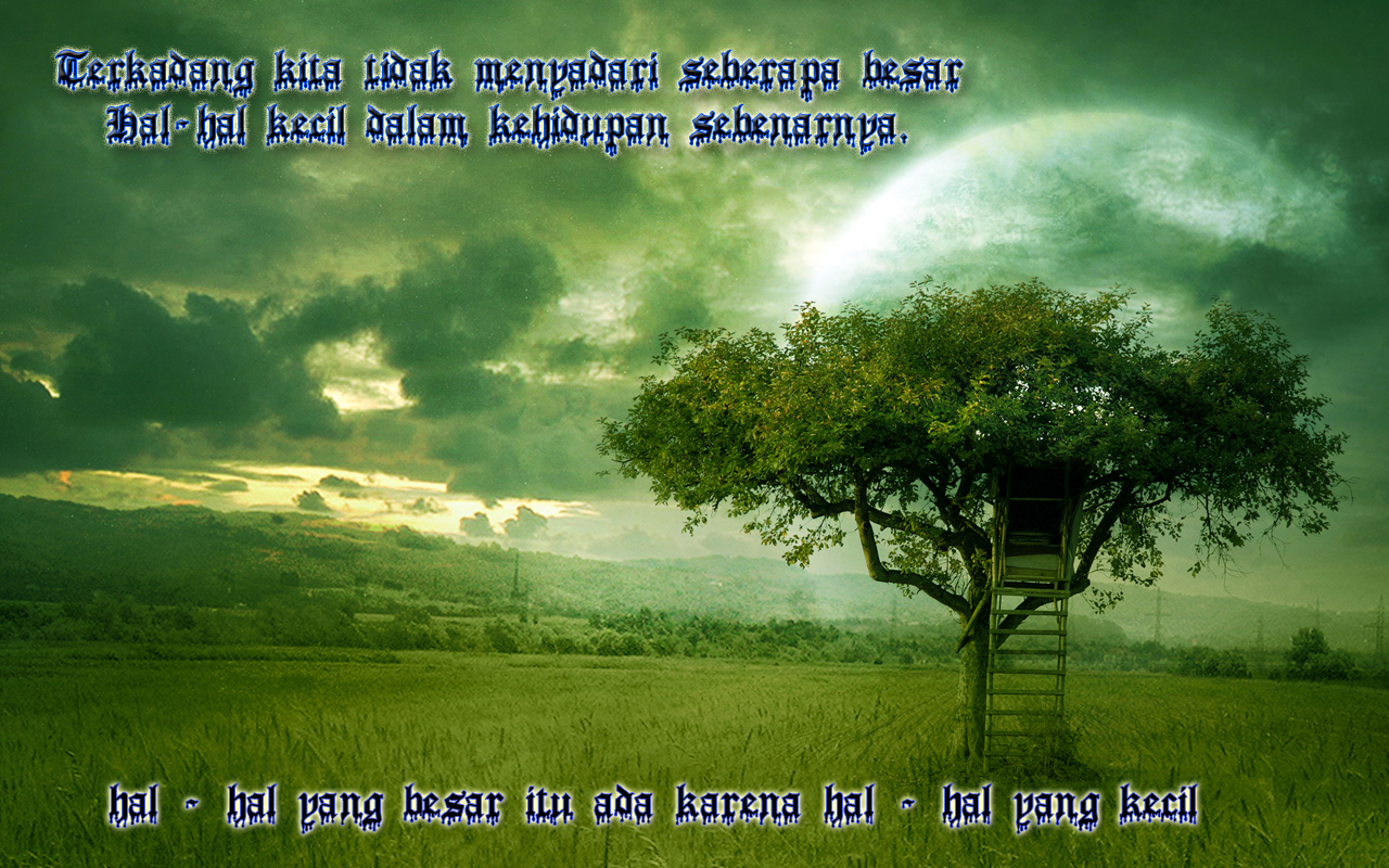 http://4.bp.blogspot.com/-rGJCet3xLB8/TzNcnlSXL-I/AAAAAAAAAaM/wDXMlA8JtVQ/s1600/Golden_Dream_Wallpaper.jpg