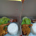 Daftar Menu Catering Nasi Kotak Jogja (november)