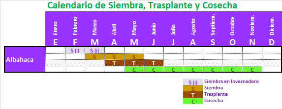 Que aceites añaden en el champú a los cabellos grasos