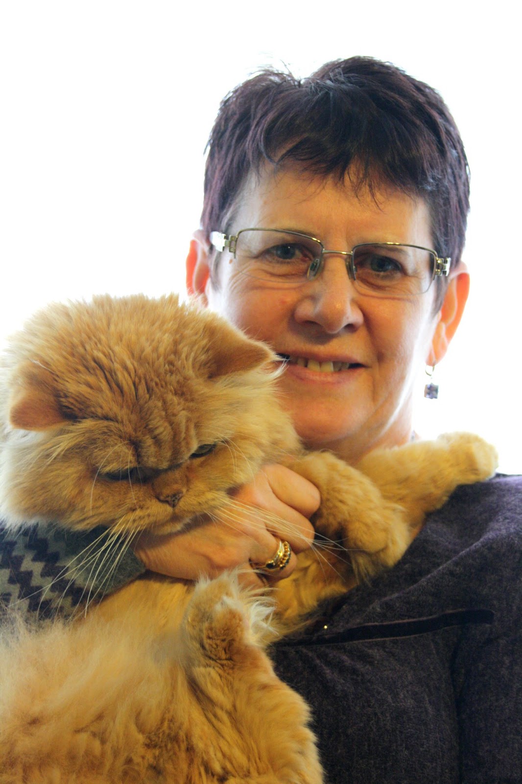 Angel Ginger Jasper: Its very Special to hug your cat....