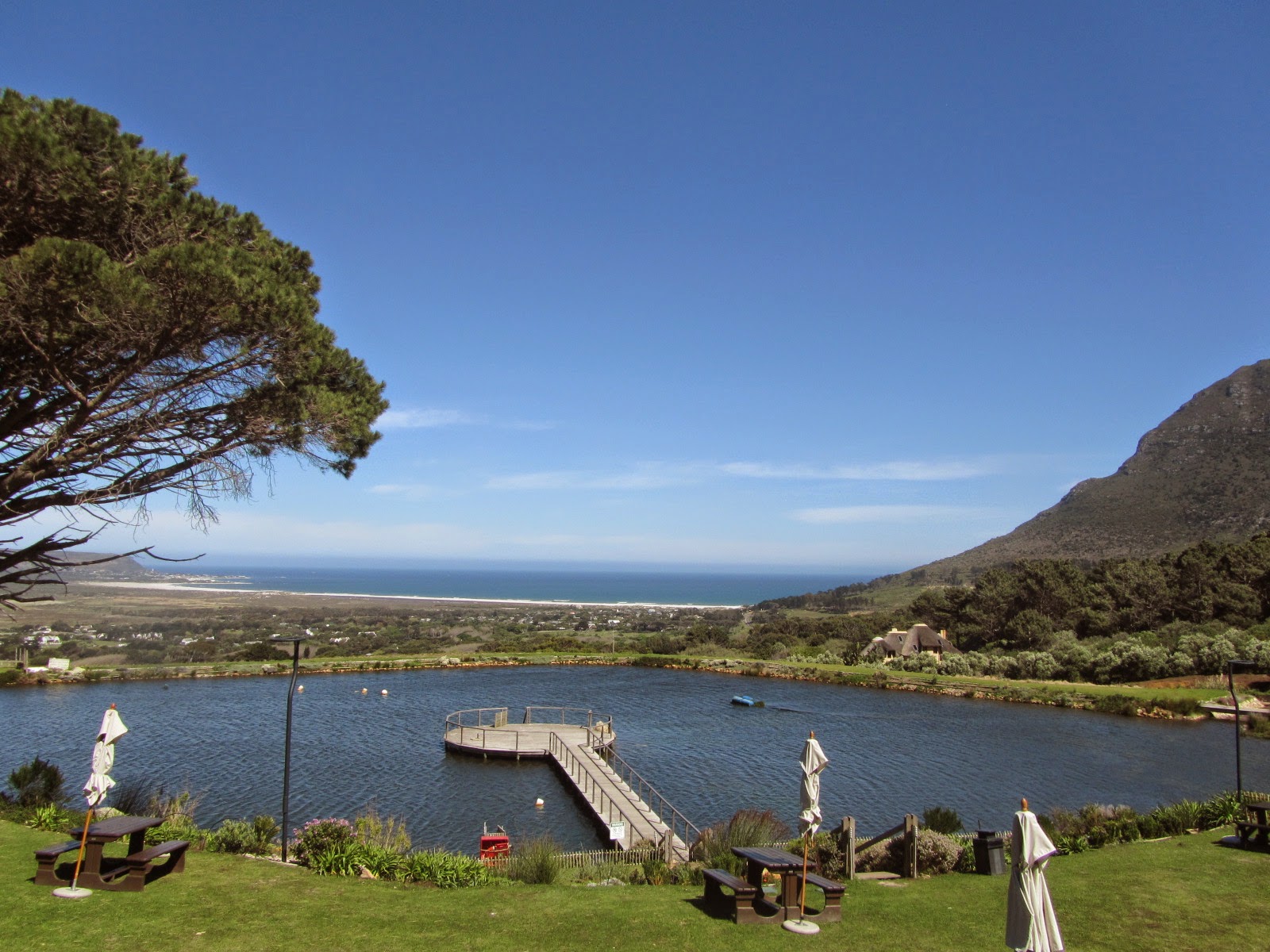 love hearts & food Cape Point Vineyard
