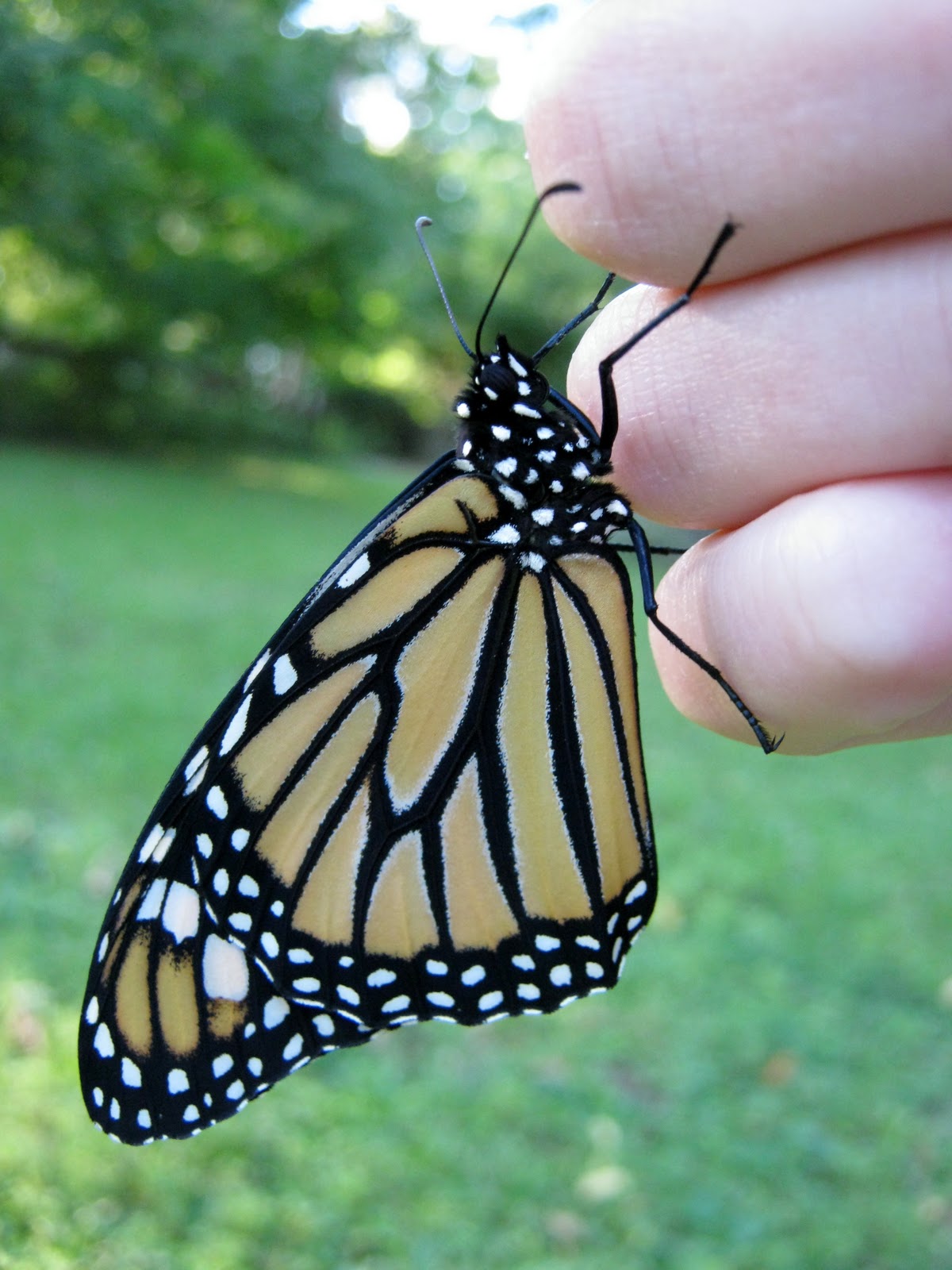 Everyday Objects The end of one journey, the beginning of another