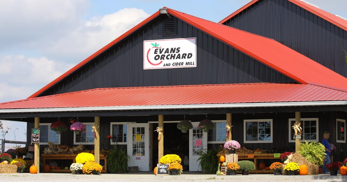 BlueEyed Kentucky Fall at Evans Orchard