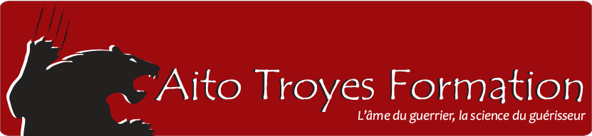AITO TROYES FORMATION