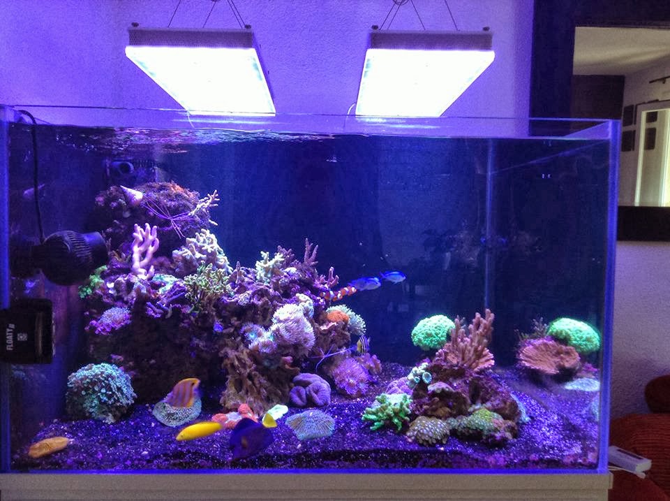 led aquarium lighting blog