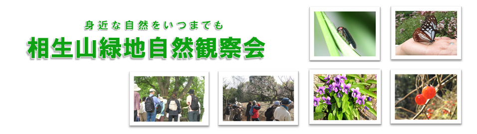 相生山緑地自然観察会について