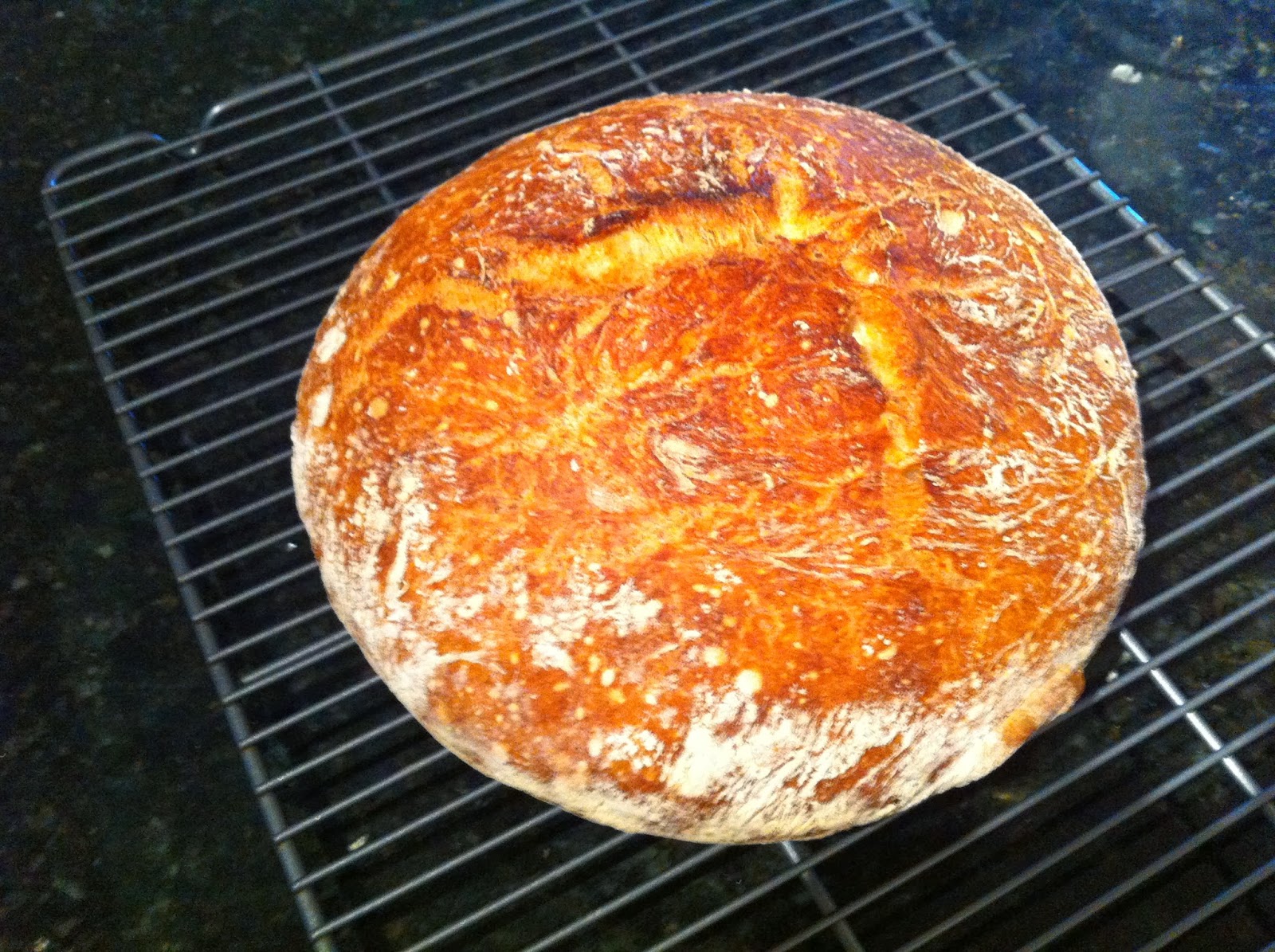 210 Degrees Overnight White Bread Flour Water Salt Yeast