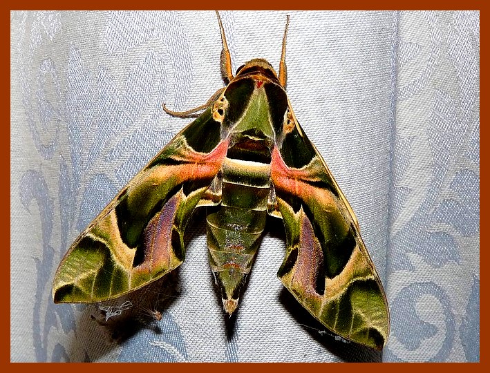 blog de mes rencontres