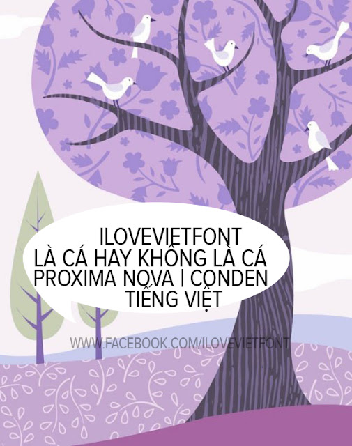 [Serif] VNF Proxima Nova Việt hóa