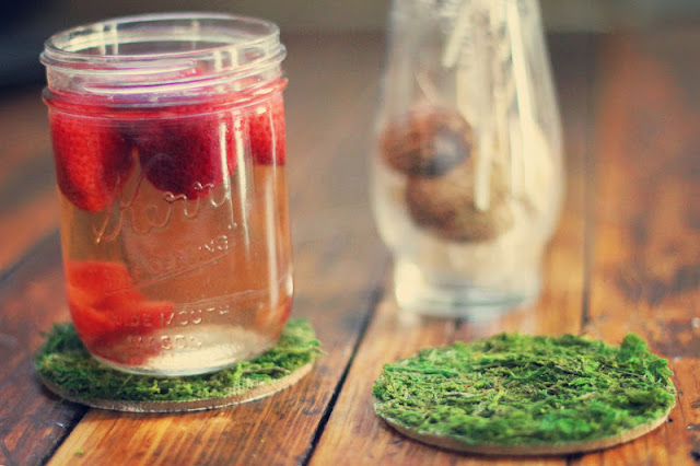 Moss+coaster+diy++