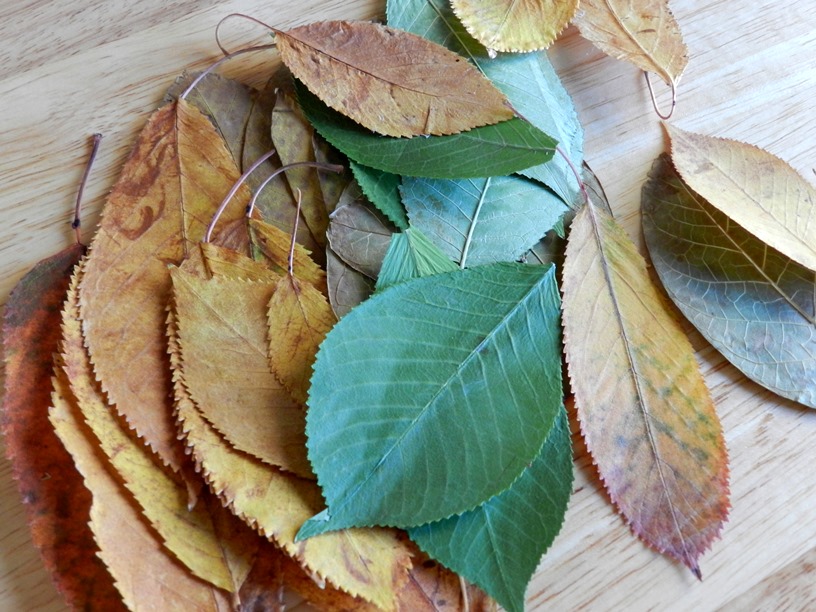 Grow Creative Blog Painted Fall Leaves Tutorial