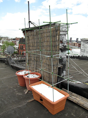 Bucolic Bushwick Garden Prep